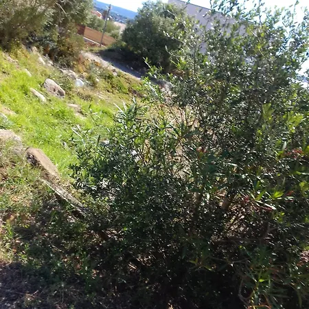 Affittacamere De L'etang Proche Des Grands Buffets Narbona