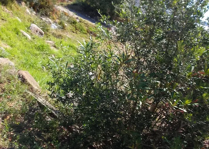 招待所 De L'etang Proche Des Grands Buffets 纳博讷